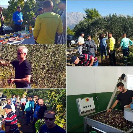 Pansion Ivan Sućuraj Εξωτερικό φωτογραφία